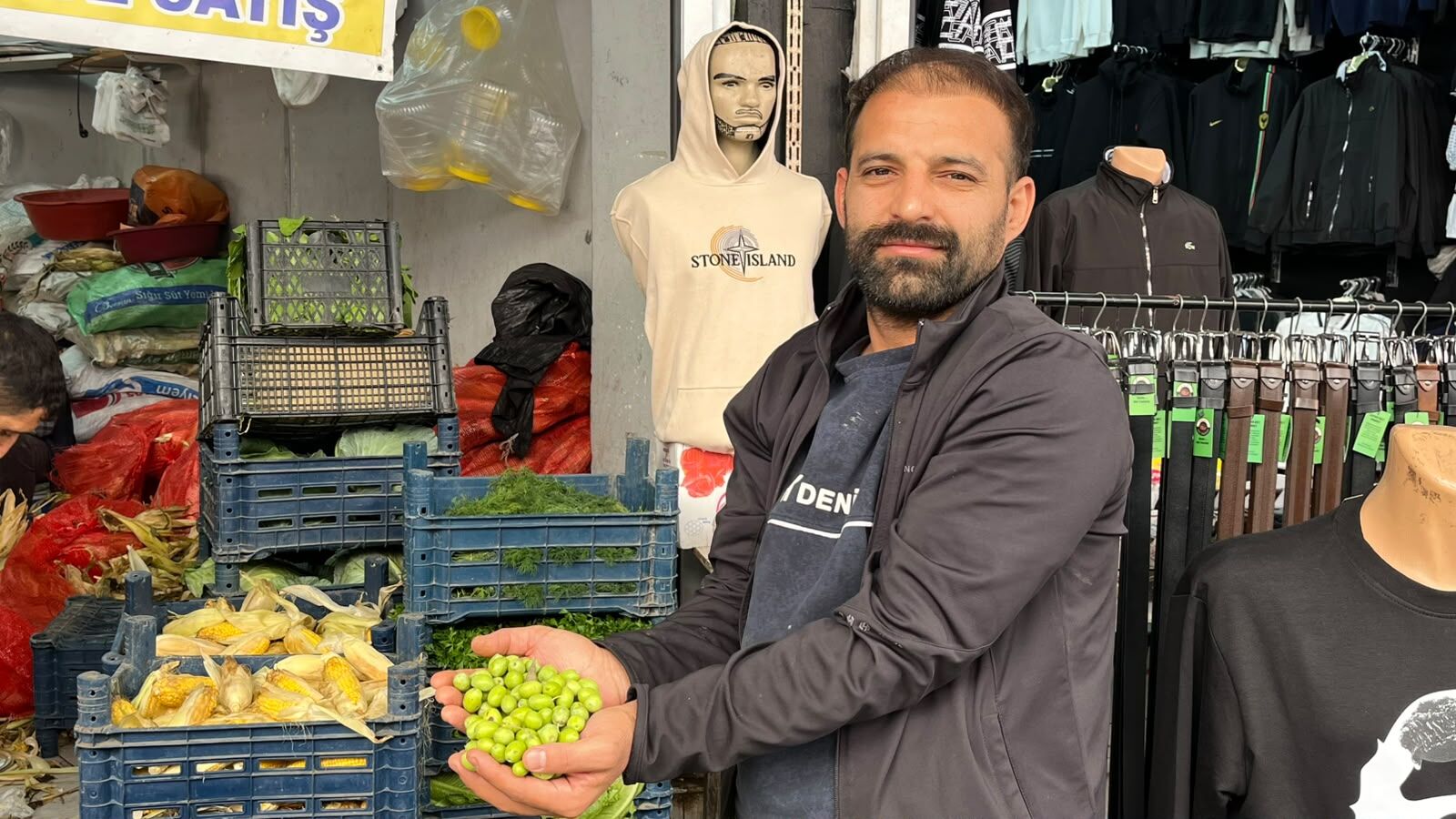 Batman’da Yeşil Zeytin Sezonu Başladı Kilosu 100 Tl (5)