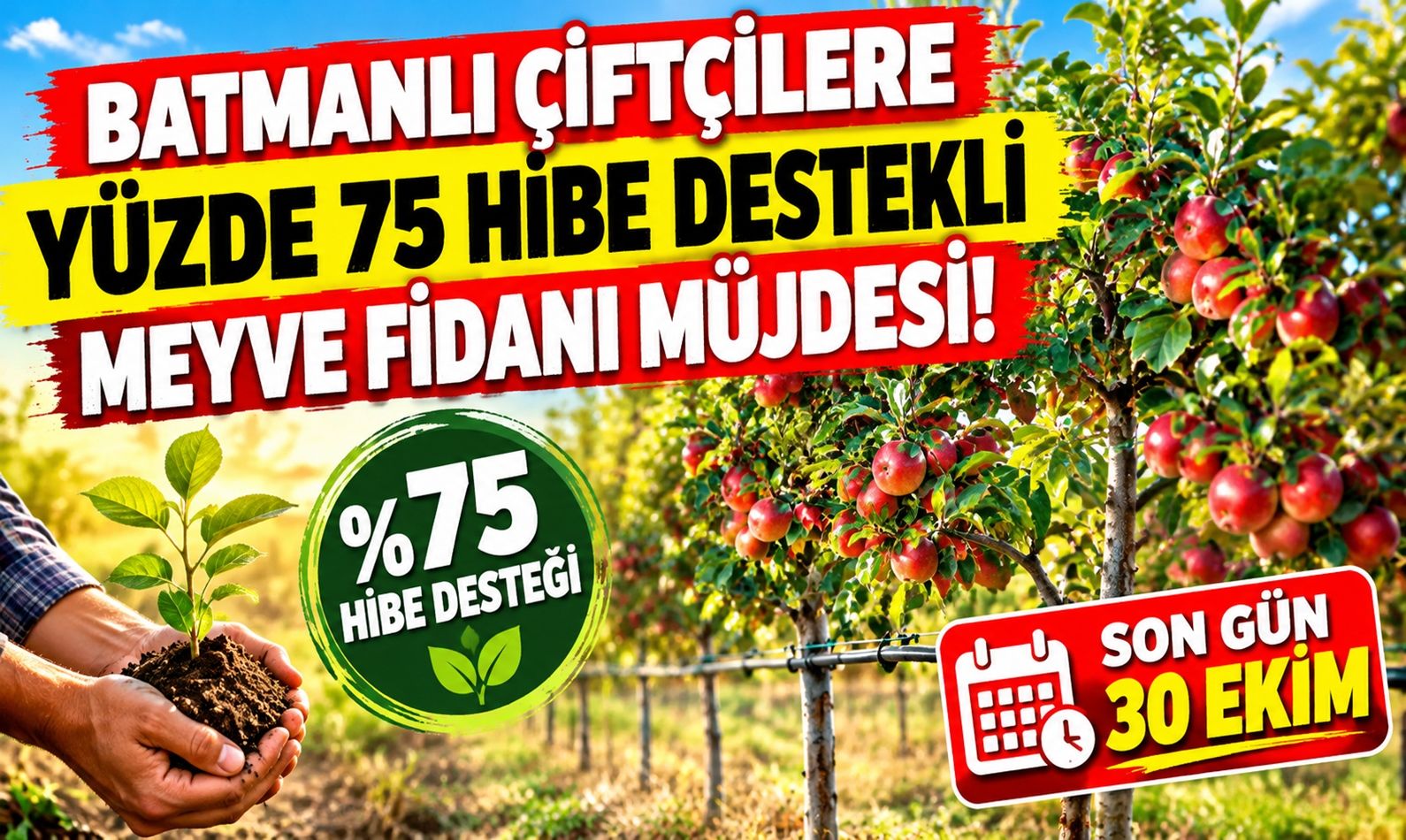 Batmanlı Çiftçilere Yüzde 75 Hibe Destekli Meyve Fidanı Müjdesi! Son Gün 30 Ekim