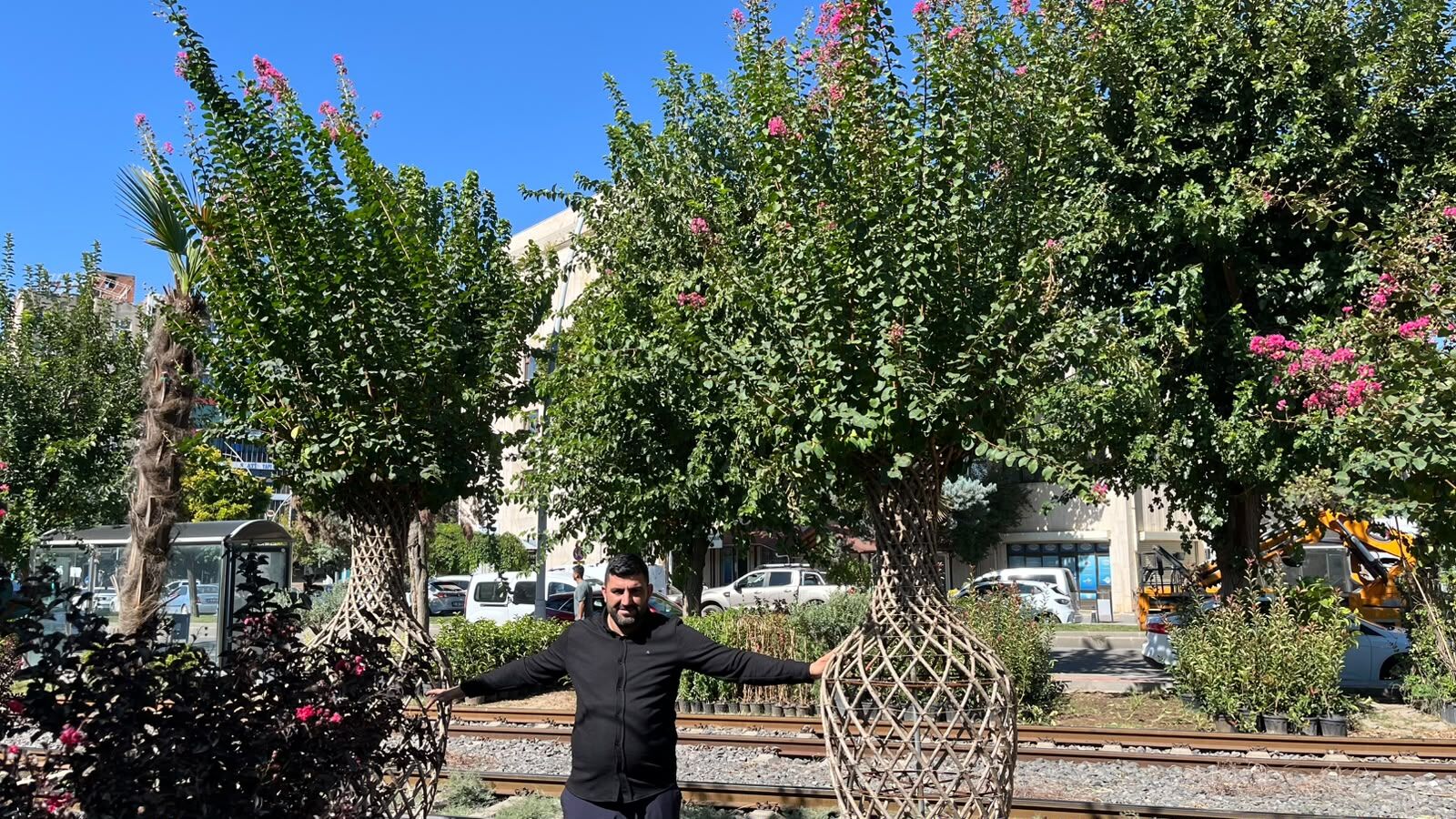 Bu Ağaçlarin Fi̇yati Şaşirtiyor (4)