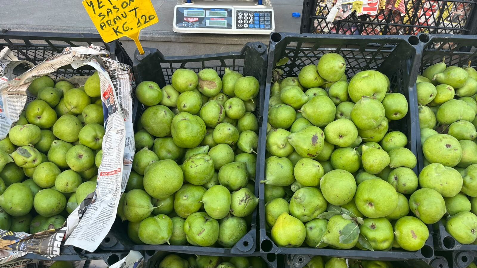 C2A3870F 53A1 47C6 A609 2816D774Dc3C