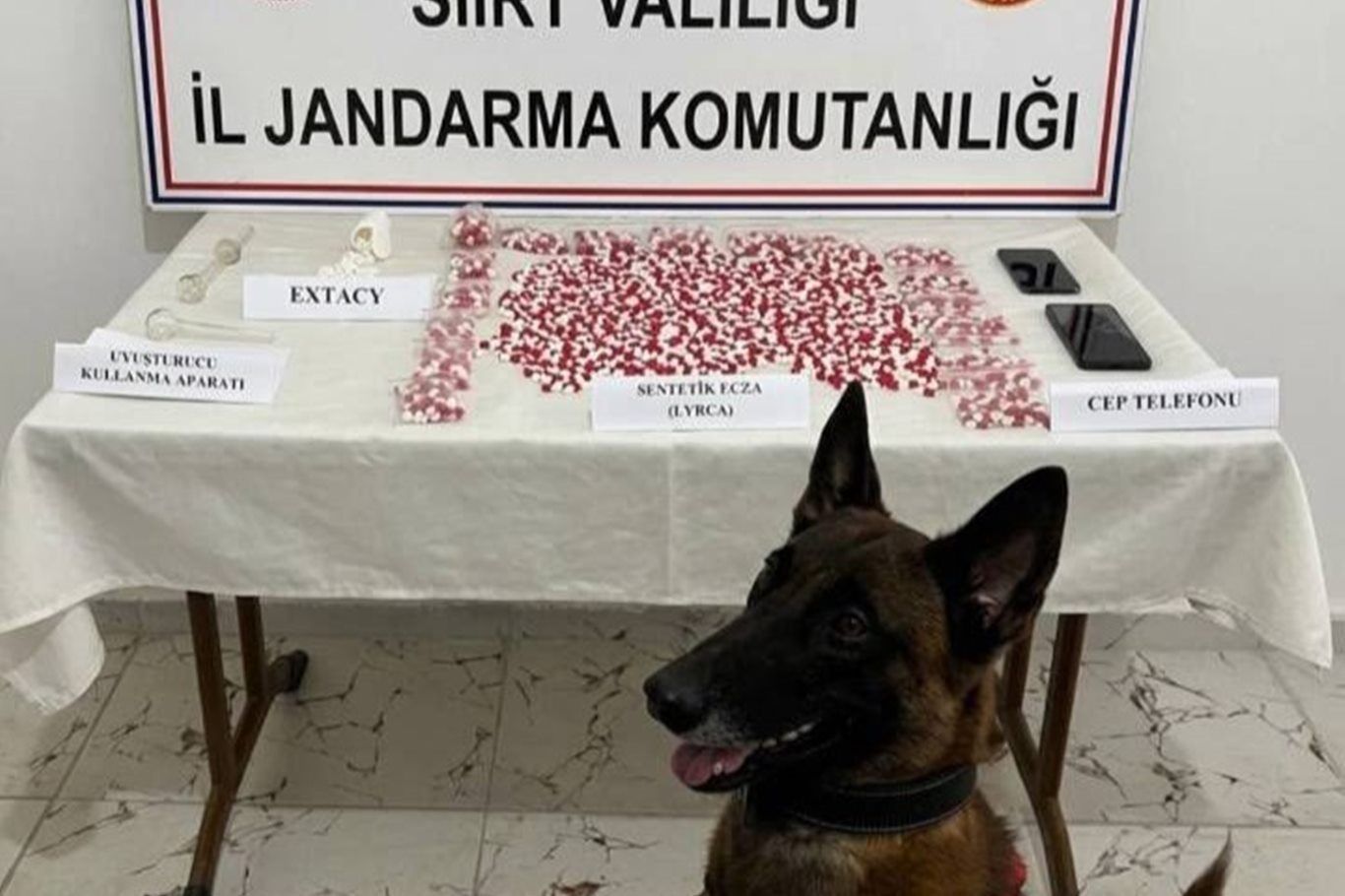 Komşu ilde uyuşturucu operasyonu: 2 bin 650 hap ele geçirildi