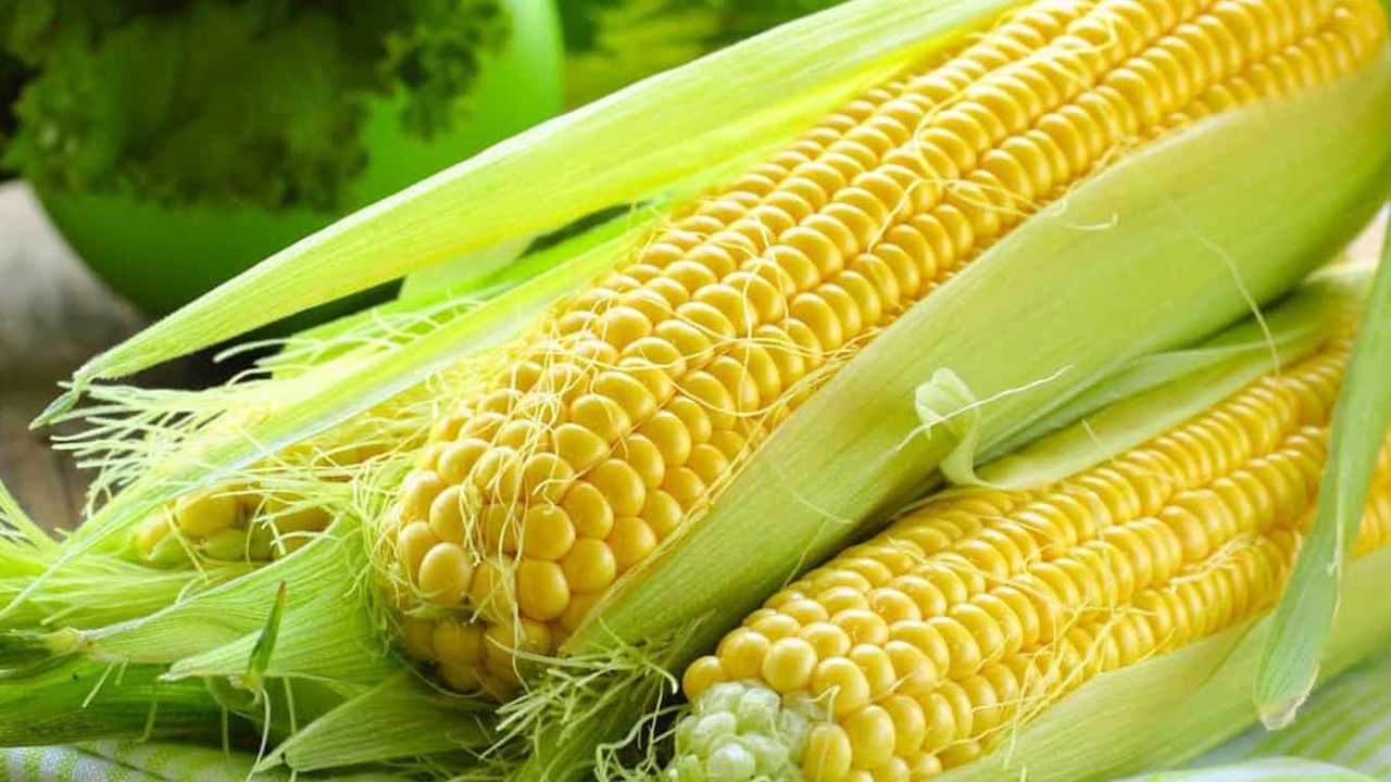 Mısır ithalatında gümrük vergisi değişti mi? Ayrıntılar haberimizde...