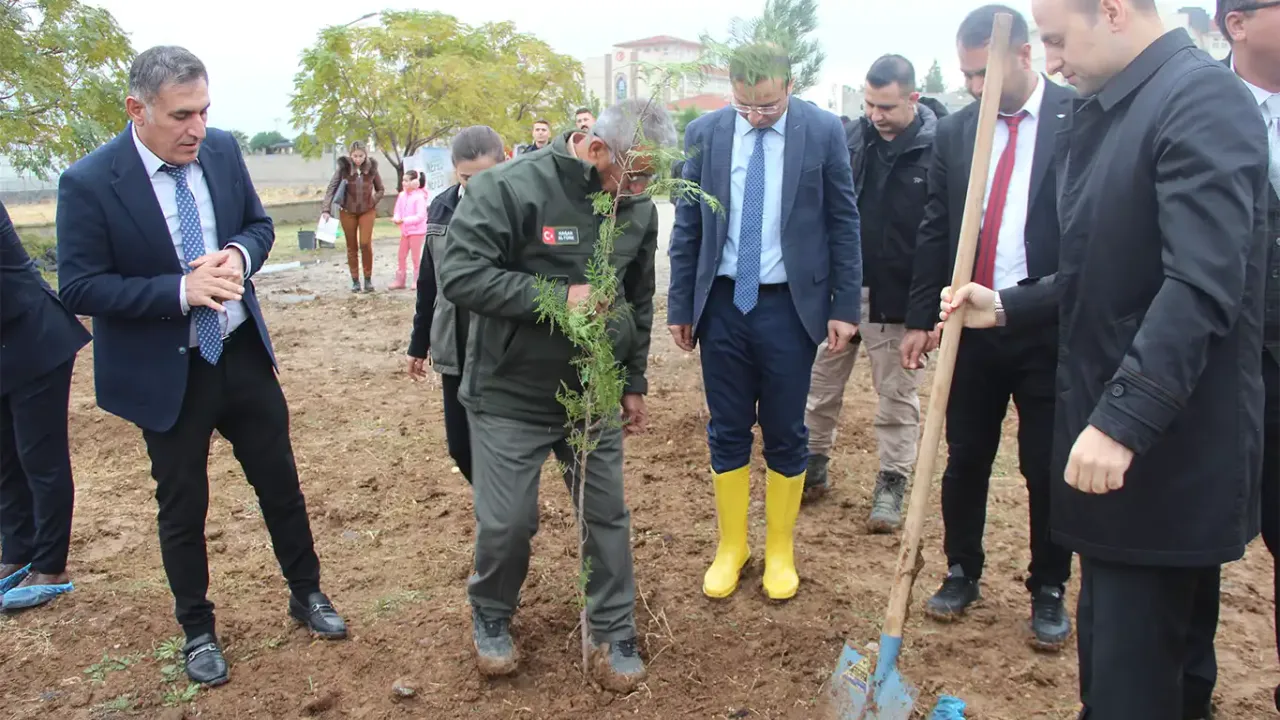 Cizre’de fidanlar toprakla buluştu