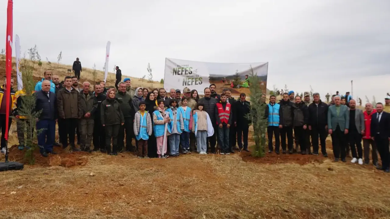 Siirt’te 2 bin 500 fidan toprakla buluştu