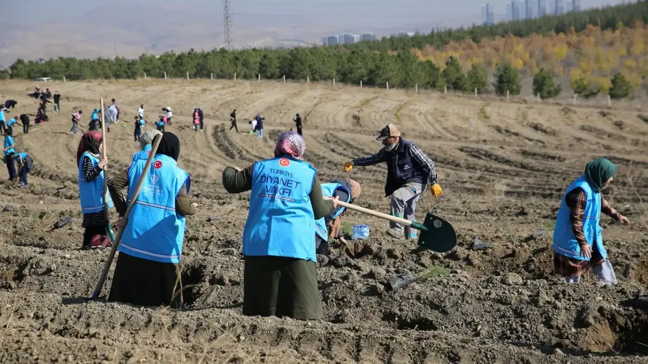 "1 İyilik 1 Fidan" projesiyle 800 bin fidan toprakla buluşturuldu