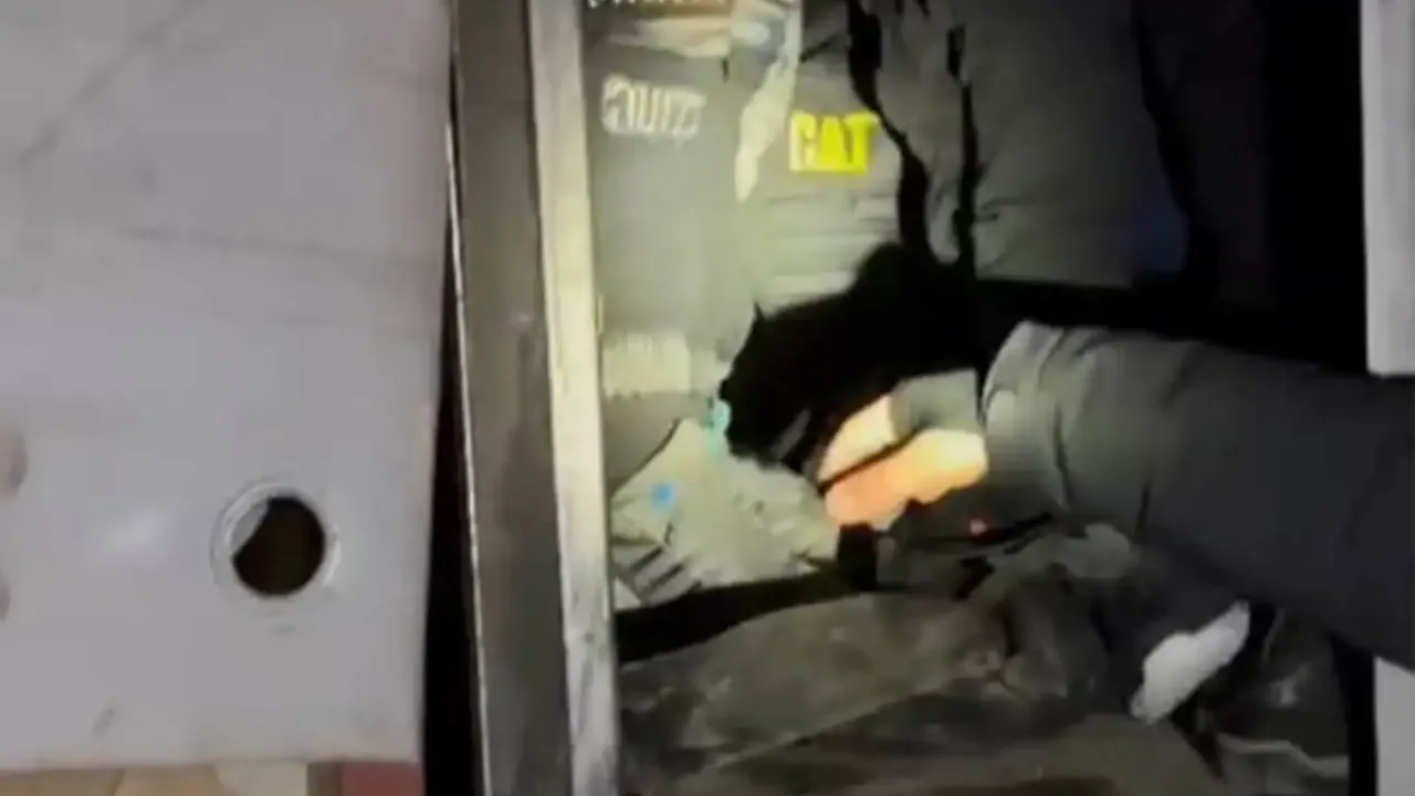 Bitlis'te 24 düzensiz göçmen yakalandı