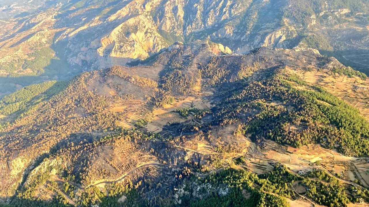 Muğla'da çıkan orman yangını söndürüldü