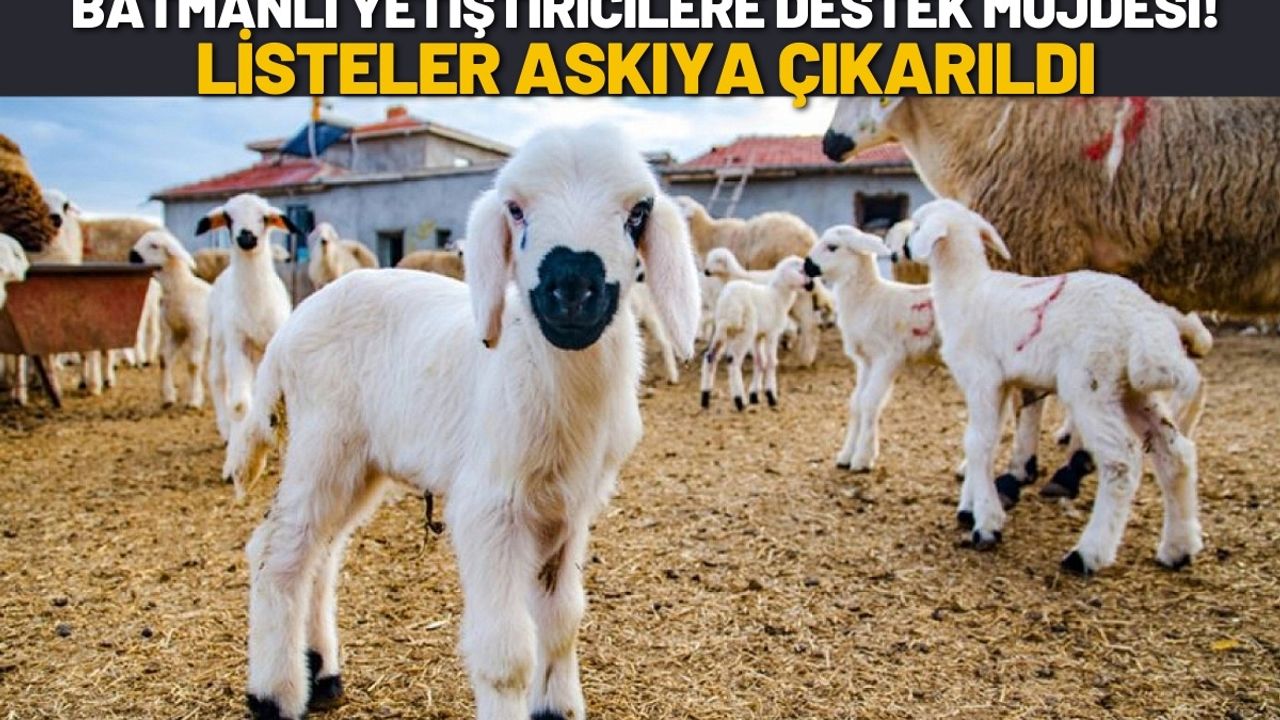 Batmanlı Yetiştiricilere Destek Müjdesi! Listeler Askıya Çıkarıldı