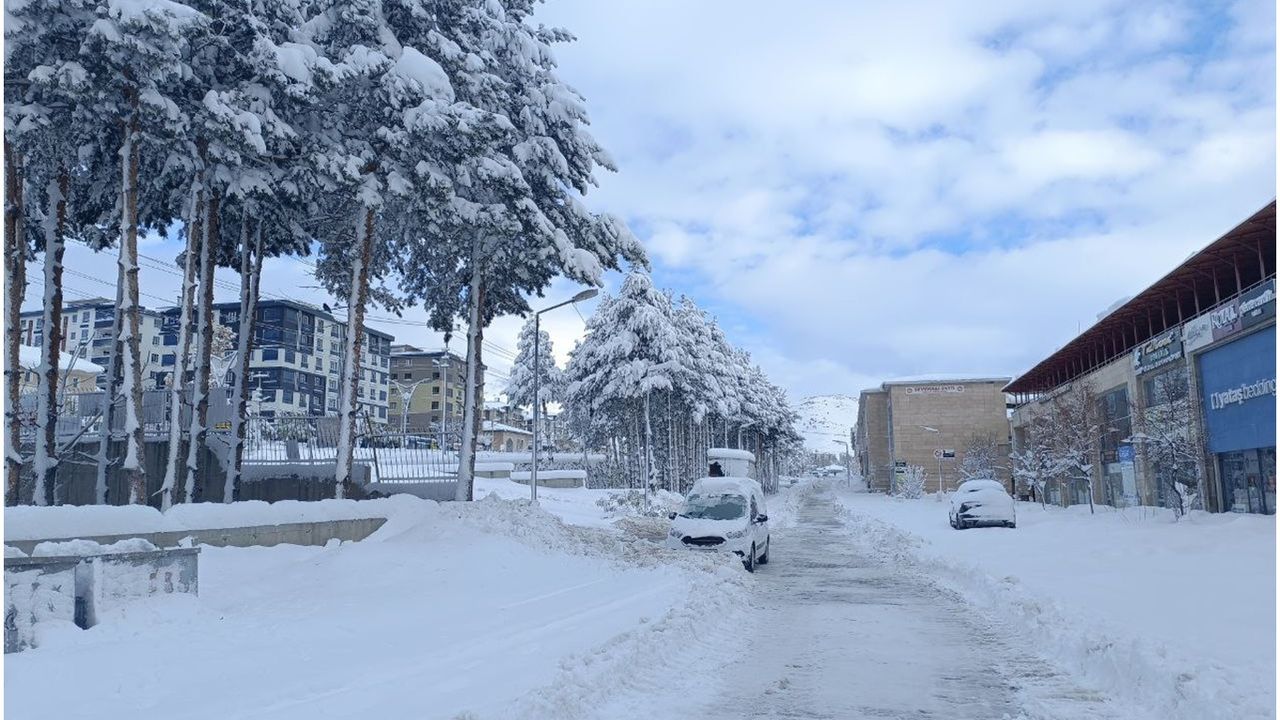 Bitlis’te hayat durdu, kırsal alanlarla iletişim kesildi