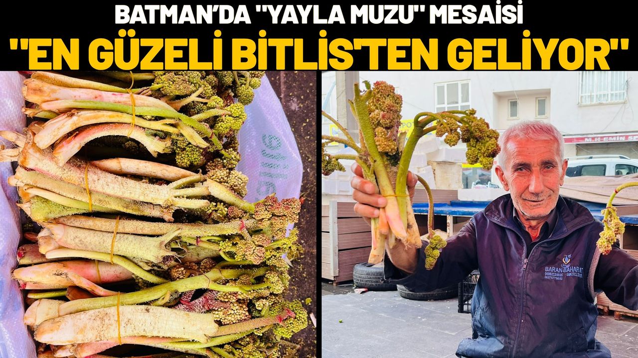 Batman’da "Yayla Muzu" Mesaisi: "En Güzeli Bitlis'ten Geliyor"