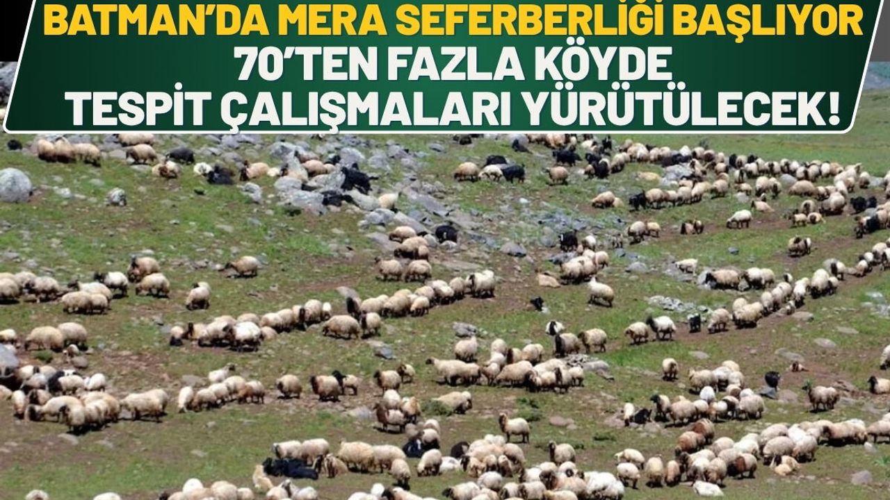 Batman’da Mera Seferberliği Başlıyor: 70’ten Fazla