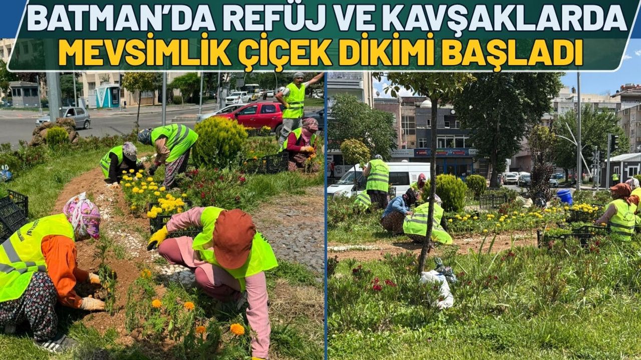 Batman’da Refüj ve Kavşaklarda Mevsimlik Çiçek Dikimi Başlad