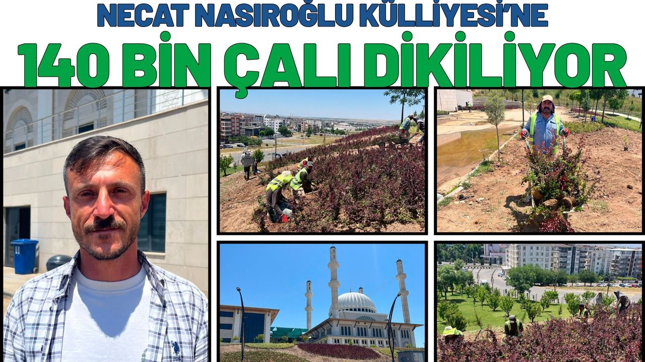 Necat Nasıroğlu Külliyesi’ne 140 Bin Çalı Dikiliyor