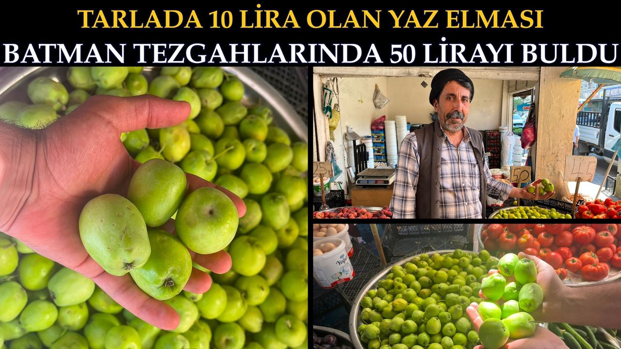 Tarlada 10 Lira Olan Yaz Elması Batman Tezgahlarında 50 Lira
