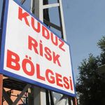 3 yaşındaki çocukta kuduz vakası tespit edildi