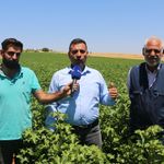 Fidan: Çiftçi artan maliyetler nedeniyle tarlasını ekemiyor