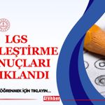 LGS Yerleştirme Sonuçları Açıklandı
