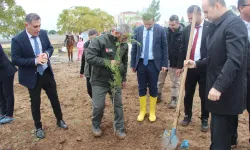 Cizre’de fidanlar toprakla buluştu