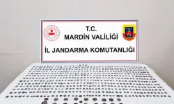 Mardin’de 597 sikke ele geçirildi