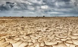 Güney Afrika'da su krizi