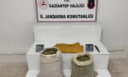 Zeytin bahçesinden hırsızlık yapan şahıs yakalandı