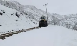 Şırnak'ta kar nedeniyle kapanan yollar açıldı