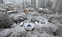 Güney Kore'de son 100 yılın en yoğun kar yağışı