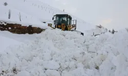 ​Van, Hakkari ve Muş'ta 218 yerleşim birimi ulaşıma kapandı