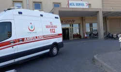 Şanlıurfa’da otomobil şarampole devrildi: 2 yaralı