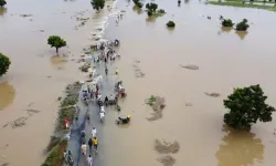 Tayland'da şiddetli yağışlar sele yol açtı: 9 ölü