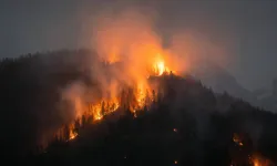 Edirne’de orman yangını