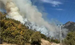 Antalya'da orman yangını