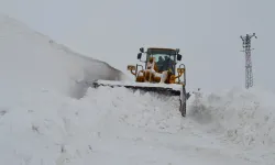 Van'da 131 yerleşim yerinin yolu kapandı