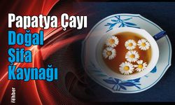 Papatya Çayı: Doğal Şifa Kaynağı