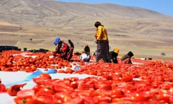 Tarımsal destek ödemeleri bugün hesaplara yatırılıyor