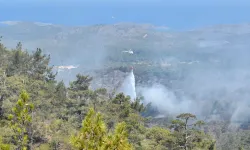 Hatay'da yangından nasibini aldı