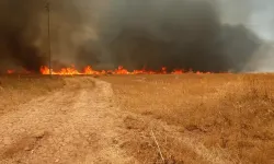 Osmaniye'de Makilik Alanda Yangın