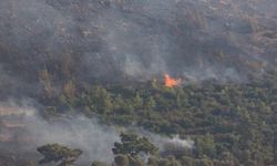 Korkutan Yangın Büyümeden Söndürüldü