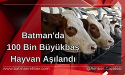 Batman'da 100 Bin Büyükbaş Hayvan Aşılandı