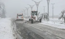 İki İlde 221 Yerleşim Birimi Ulaşıma Kapandı