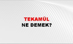 Tekamül ve tefaül ne demektir?