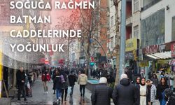 Soğuğa Rağmen Batman Caddelerinde Yoğunluk