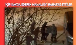 İçip Kavga Ederek Mahalleyi Rahatsız Ettiler