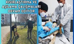 Kısırlaştırma ve Aşılama Çalışmaları Devam Ediyor