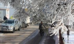 Meteoroloji bazı bölgeleri don ve buzlanmya karşı uyardı!