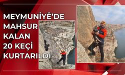 Meymuniyê’de Mahsur Kalan 20 Keçi Kurtarıldı