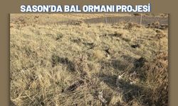 Sason’da Bal Ormanı Projesi