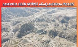 Sason’da Gelir Getirici Ağaçlandırma Projesi