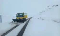 Siirt'te kar nedeniyle koy yolları kapandı