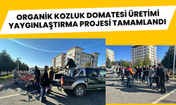 Organik Kozluk Domatesi Üretimi Yaygınlaştırma Projesi Tamamlandı